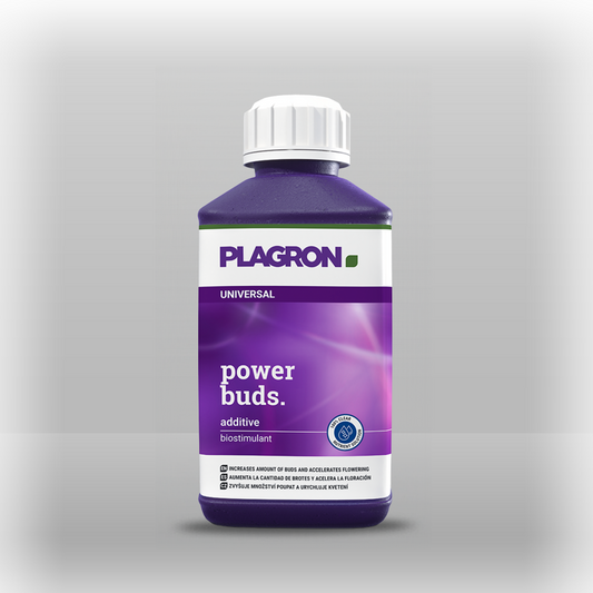 Plagron power buds