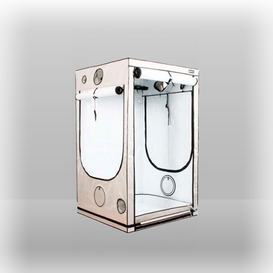 Homebox Ambient R120