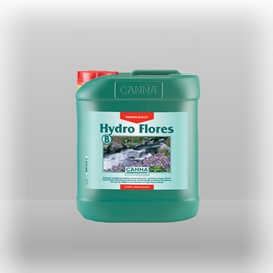 Canna Hydro Flores B