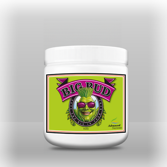 Advanced Nutrients Big Bud Powder