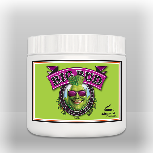 Advanced Nutrients Big Bud Powder 500gr