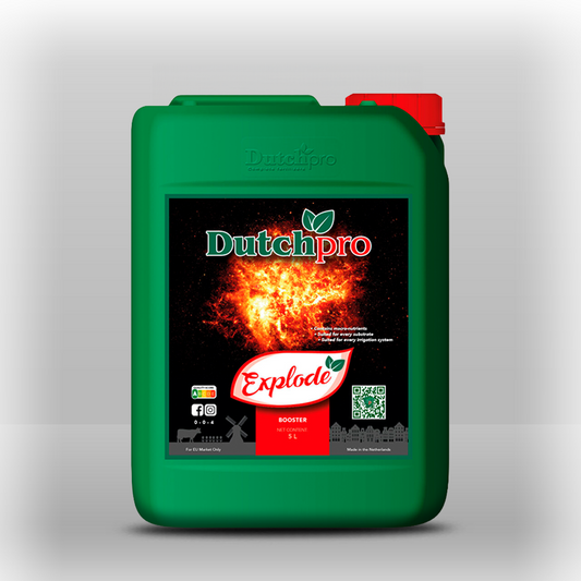 DutchPro Explode 5L