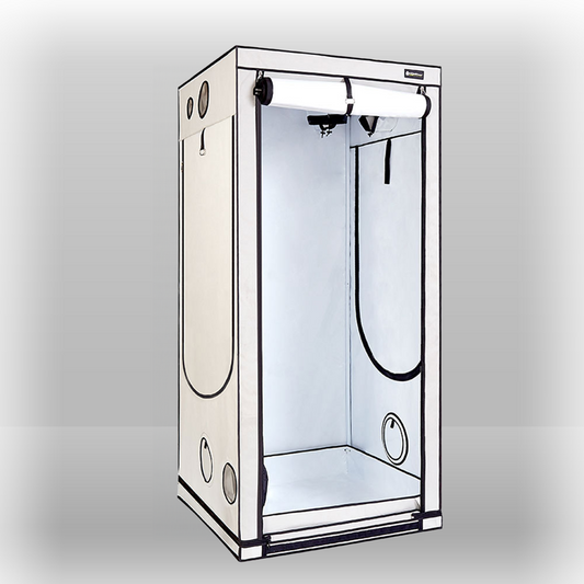 Homebox Ambient Q100