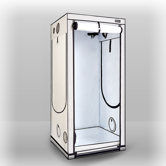 Homebox Ambient Q100