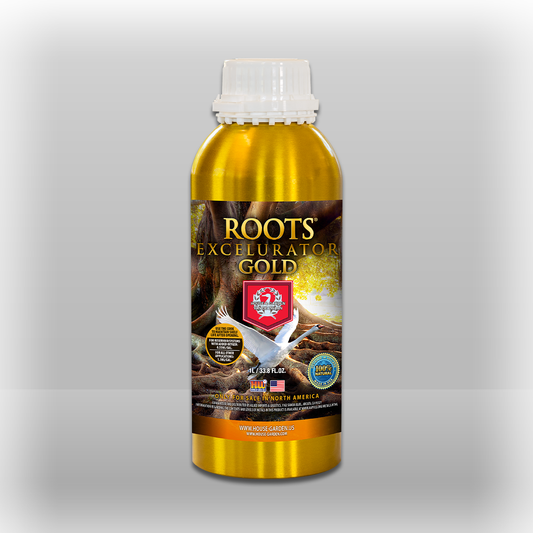 Roots Excelurator 1 L Gold