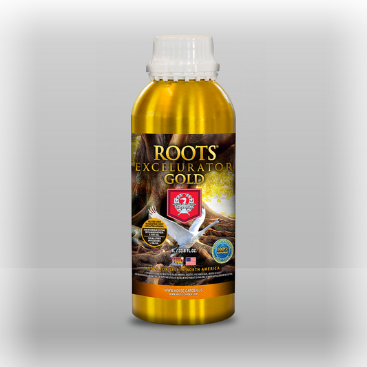 Roots Excelurator 1 L Gold