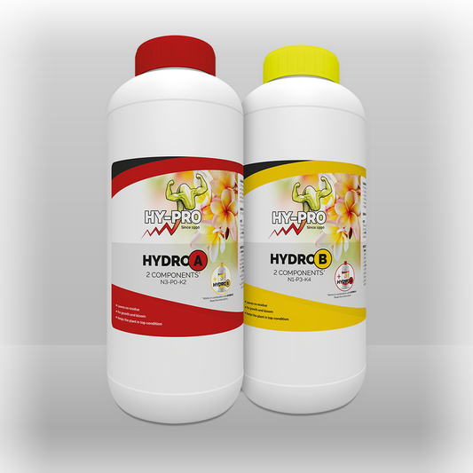 Hypro Grow & Bloom Hydro A&B 1 L