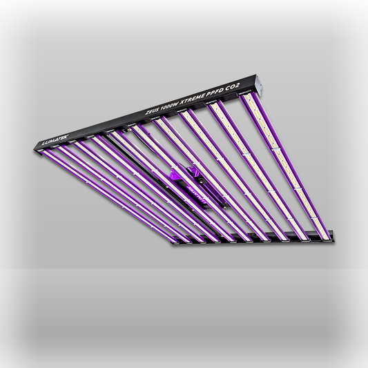 zeus xtreme co2 1000w