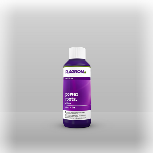 Plagron power roots 100ml