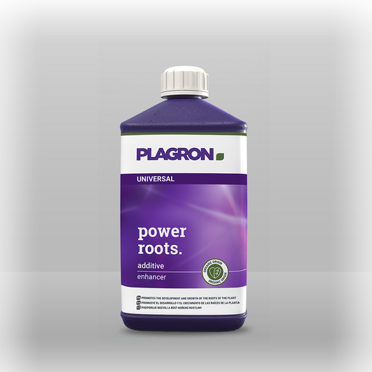 Plagron power roots