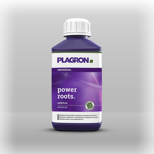 Plagron power roots 250ml