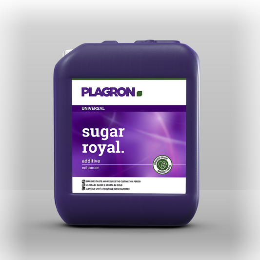 Plagron sugar royal 5L