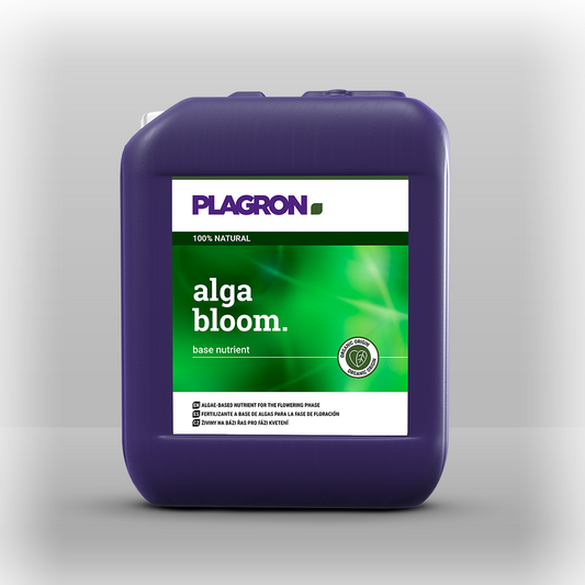Plagron alga bloom 10L