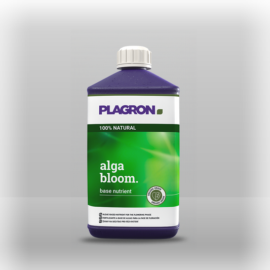 Plagron alga Bloom