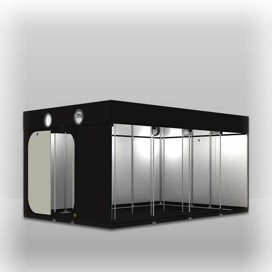 Secret Jardin Intense 470 × 300 × 233 cm