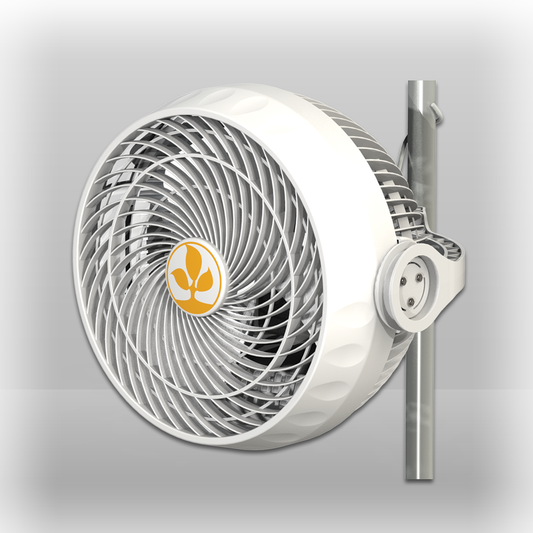 Secret Jardin Monkey Fan 30W US Ball Bearing