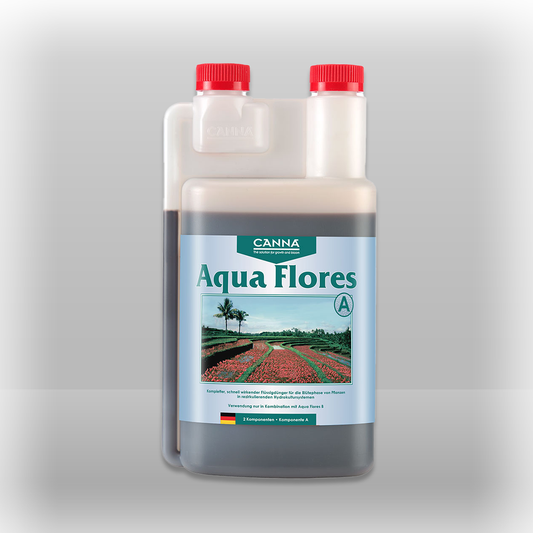 Canna Aqua Flores A