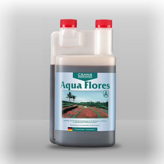 Canna Aqua Flores A