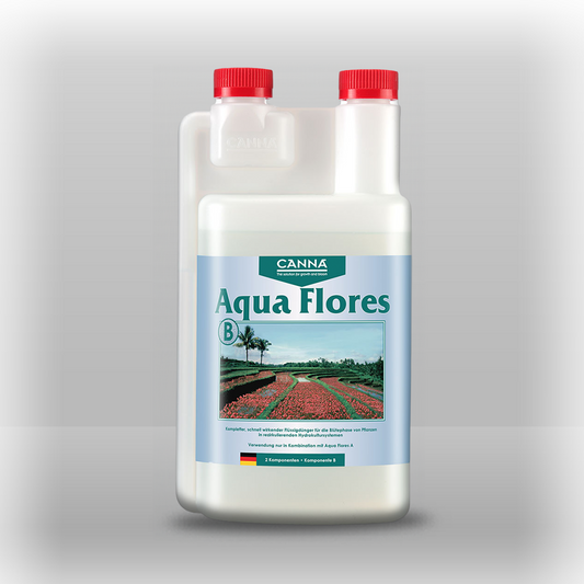 Canna Aqua Flores B