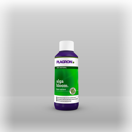Plagron alga bloom 100ml