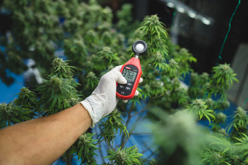 kweeker test de temperatuur van de planten