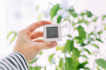 temperatuur en vochtigheid meter voor je planten