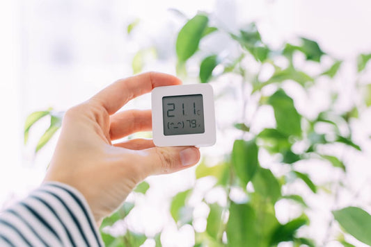 temperatuur en vochtigheid meter voor je planten