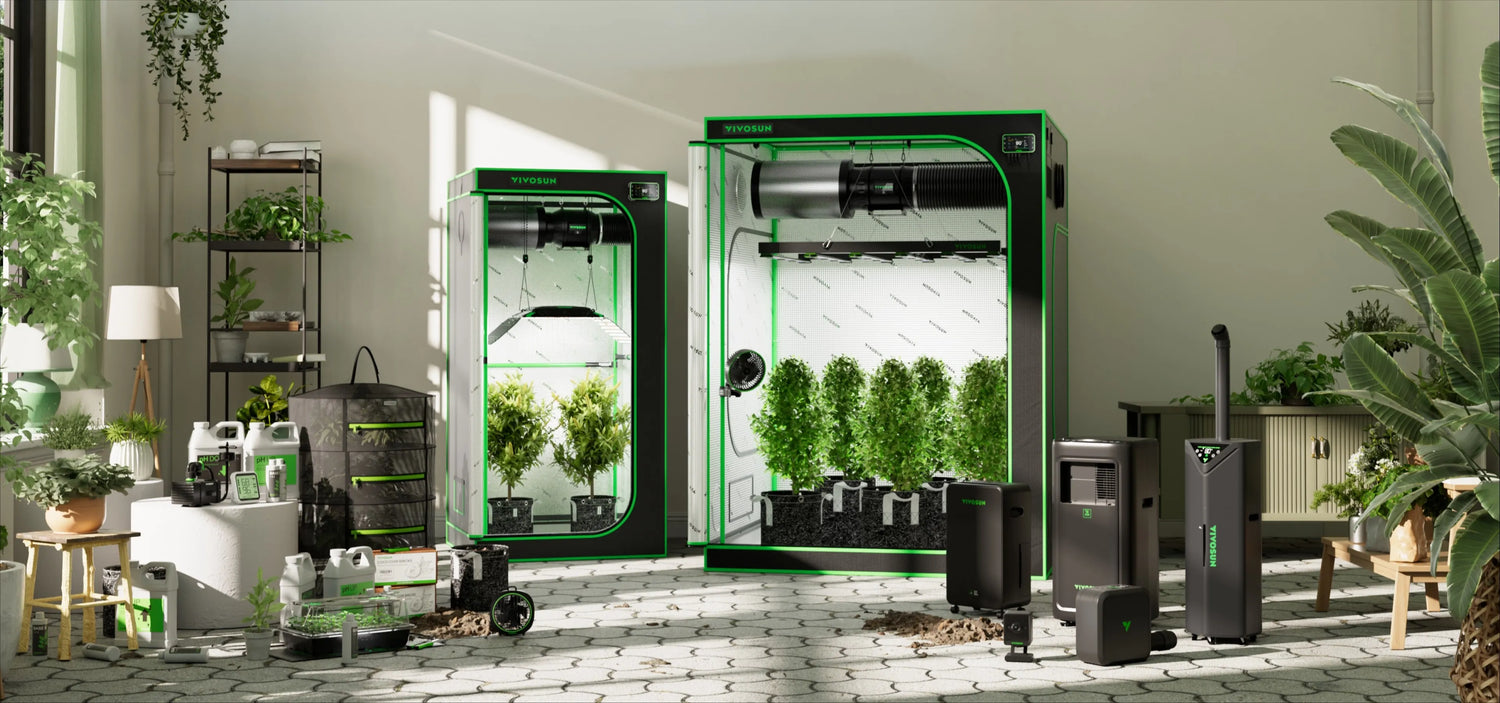 Topgrowshop 
