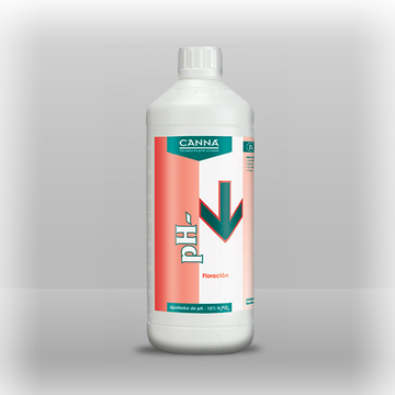 Canna PH- Pro Floracion