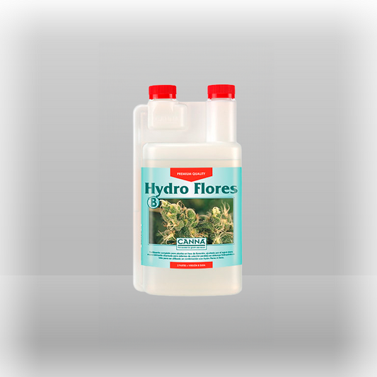 Canna Hydro Flores B