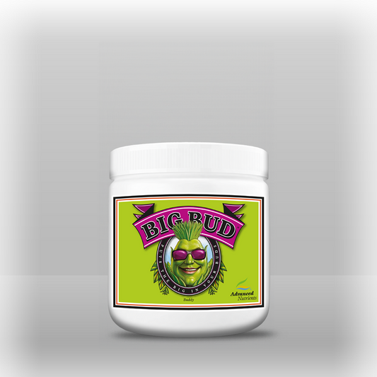 Advanced Nutrients Big Bud Powder