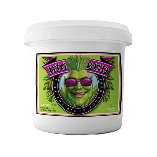 Advanced Nutrients Big Bud Powder