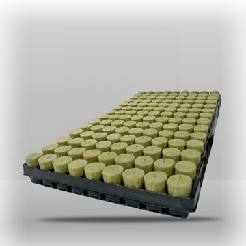 AgraWool Plug Basic Tray 126plugs