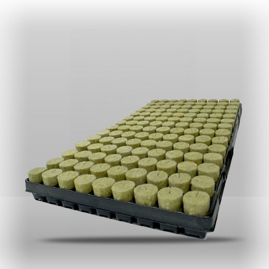 AgraWool Plug Basic Tray 126plugs