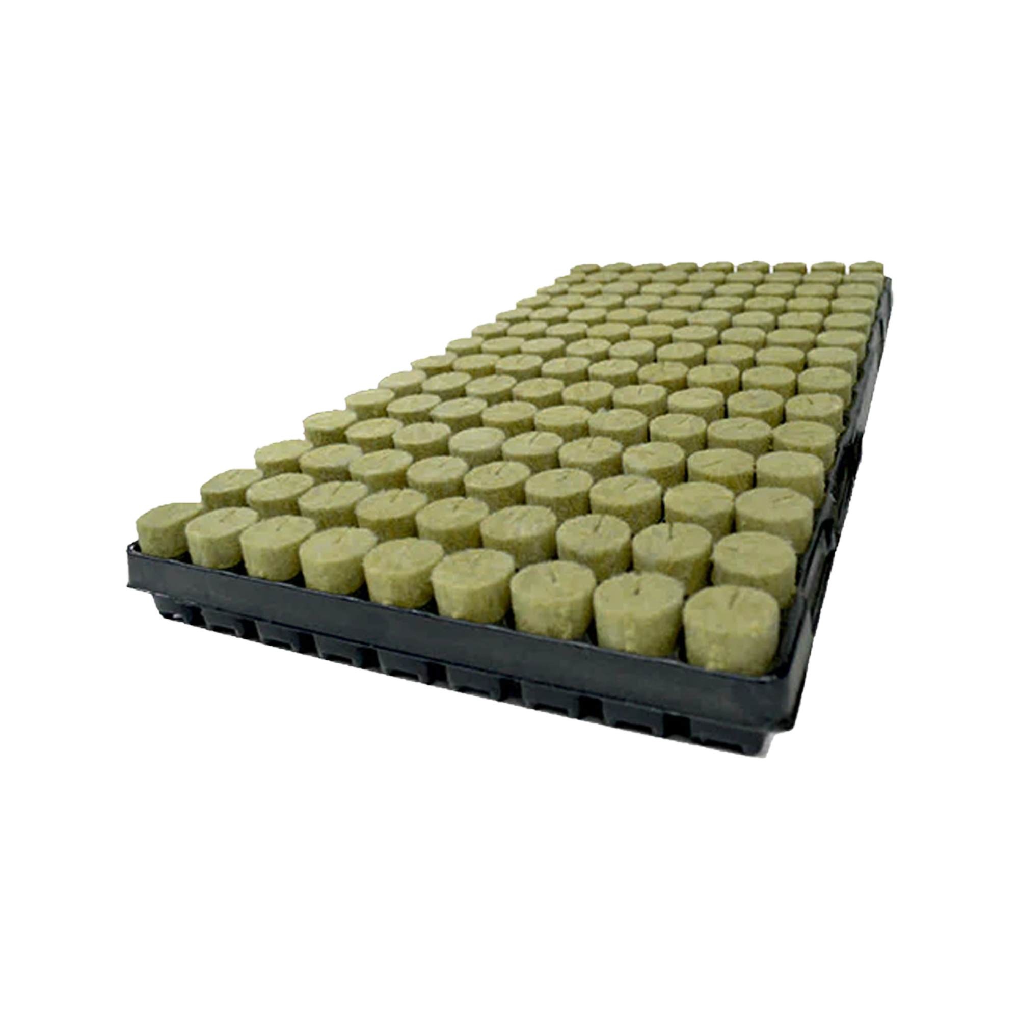 AgraWool Plug Basic Tray 126plugs