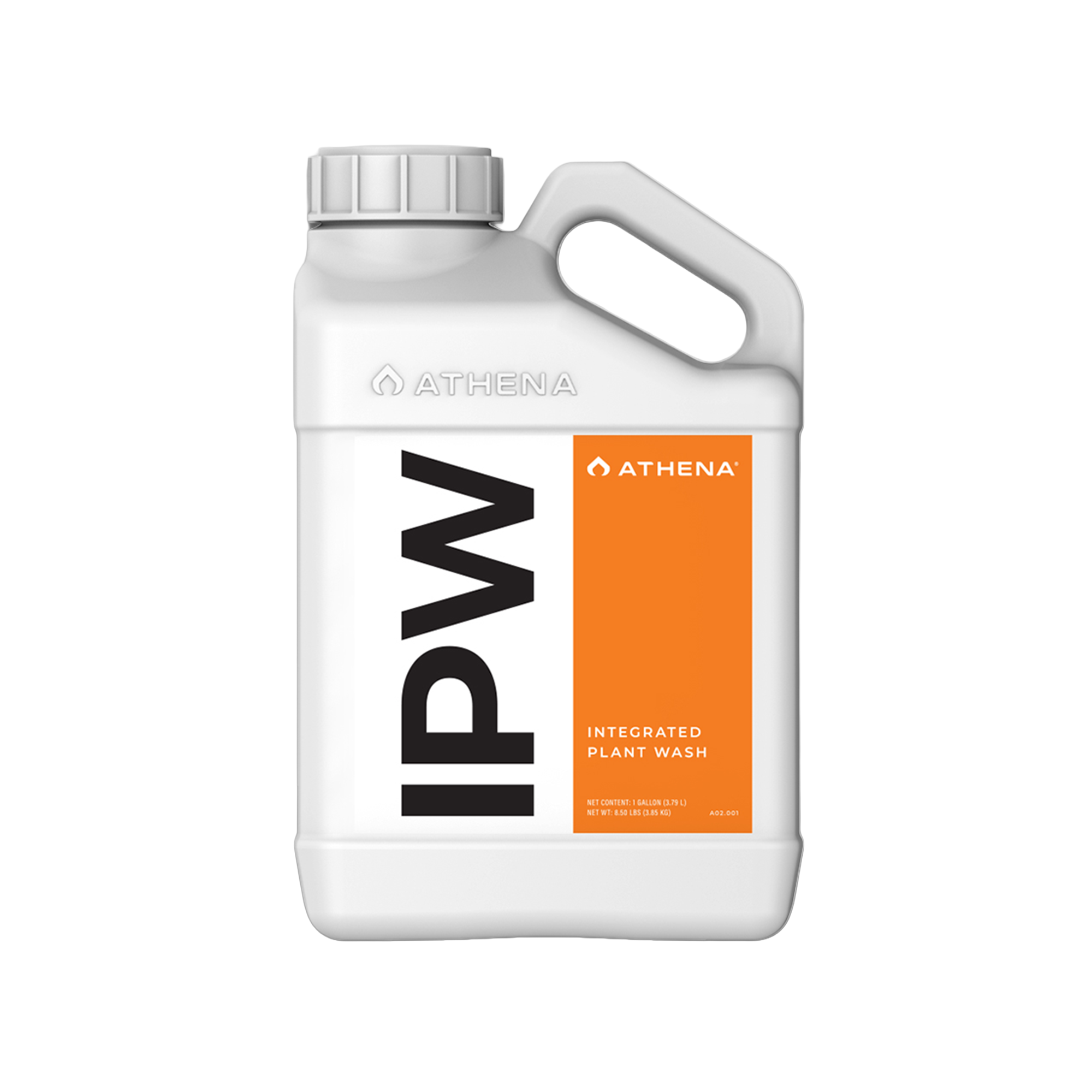 Athena IPW 1L