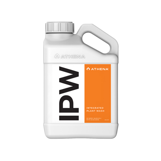 Athena IPW 1L