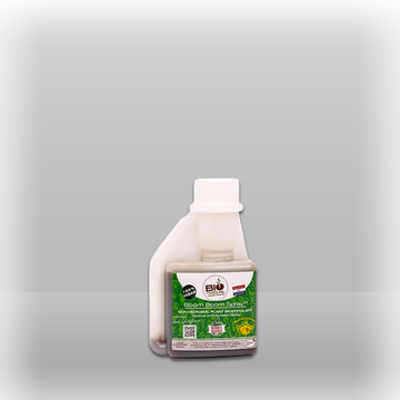 boom boom spray 100ml