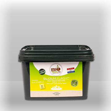 silicum flash 1250gr