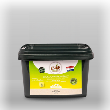 Biotabs Silicum Flash 1250GR