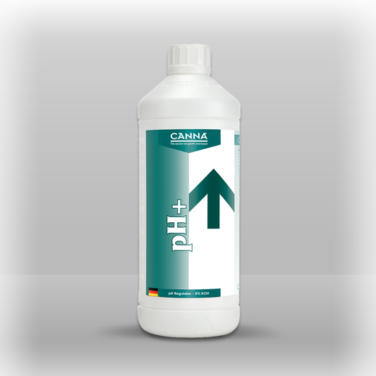 pH Plus 1 L