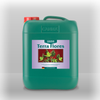 Canna Terra Flores