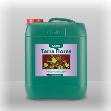 Canna Terra Flores
