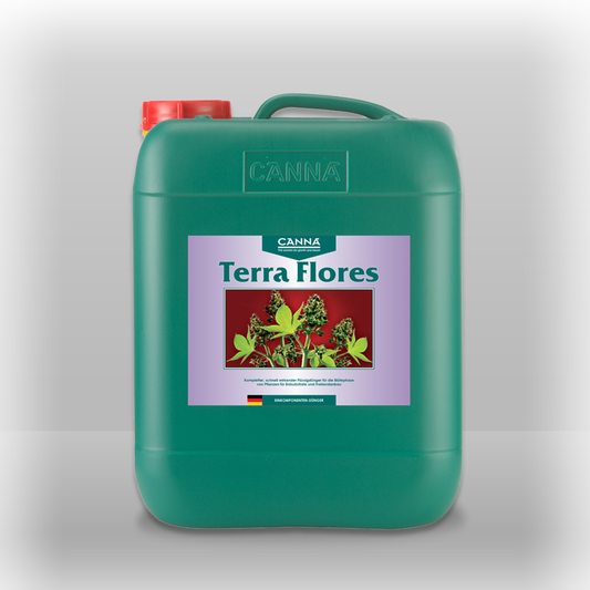 Canna Terra Flores