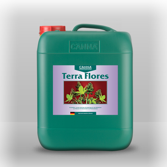 Canna Terra Flores