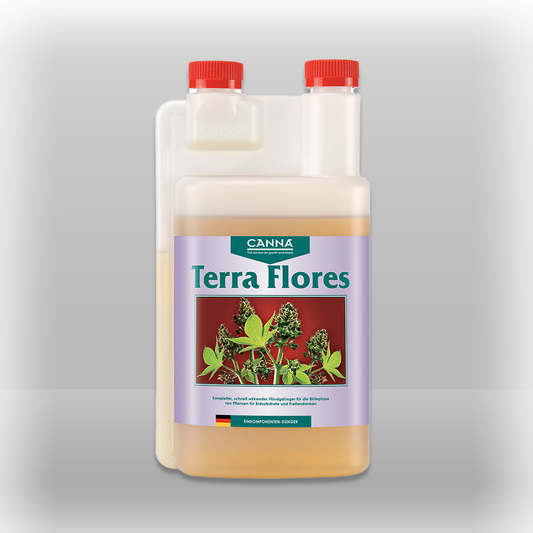 Canna Terra Flores