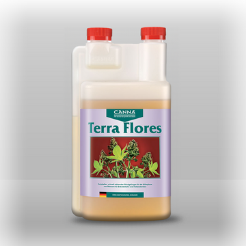 Canna Terra Flores
