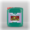 Canna Terra Flores