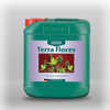 Canna Terra Flores