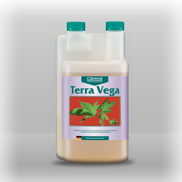 Canna Terra Vega